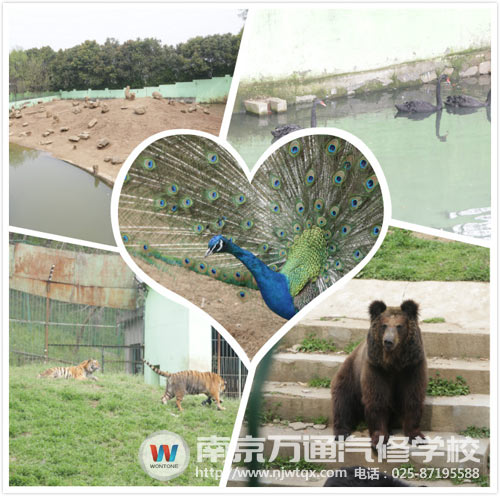 南京万通汽修学校